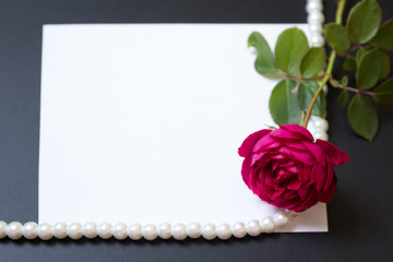 Beautiful red rose with pearls on blank white sheet paper