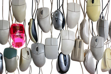 Hanging computer mice isolated on white background