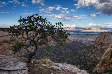 Fototapeta na wymiar Colorado National Monument