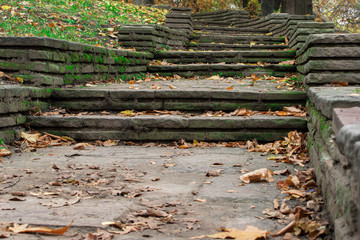 Autumn on a public park in Sofia, Bulgaria
