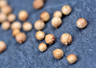 Group of coriander on slate