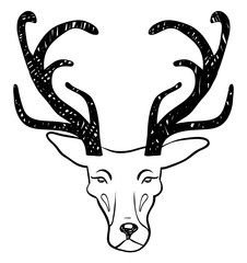 Deer head
