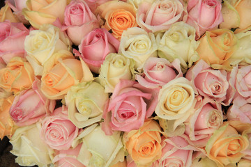 Pastel roses in a wedding arrangement
