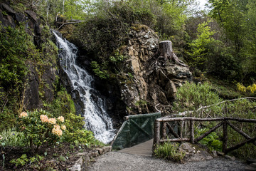 Beautiful Waterfall and Plants Flowers English Garden Scotland