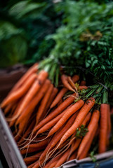 Organic carrots on sale