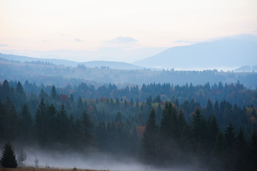 Morning in the mountains.