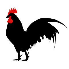 Silhouette of a rooster. Symbol of New Year 2017 