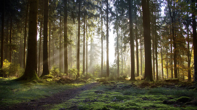 Herbst Im Odenwald