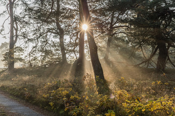 herbstsonne