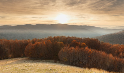 Sunset over the Irati forest in Autumn