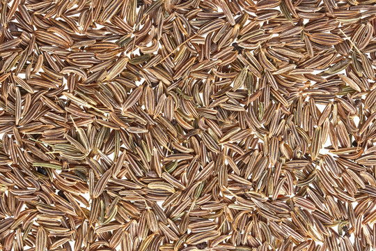 Cumin seeds or caraway texture
