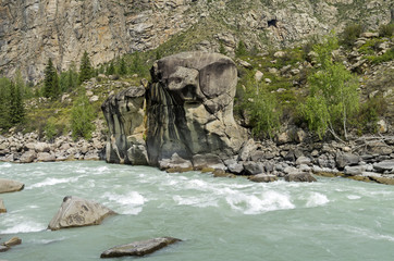 Fototapeta premium Rapids 