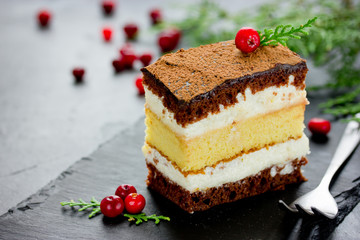 Piece of layer chocolate lemon cake decorated with cranberries