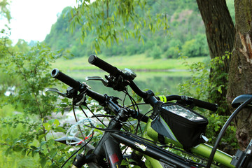 Two bicycle near the tree. On the background of the river and tr