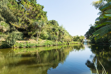 Fototapeta na wymiar A pond in a tropical Park with palm trees