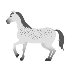 Horse vector isolated animal.