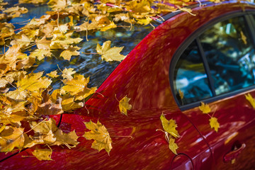 autumn leaves on windscreen of parking car in a quiet, peaceful street