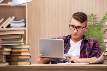Young student preparing for school exams