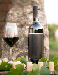 Red wine bottle, glass, young vine leaves against soft background, Italy