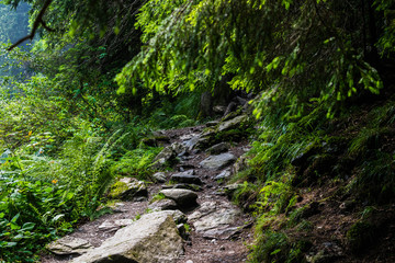 Fototapeta na wymiar Path in the mountain