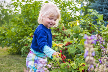 Mädchen pflückt Beeren im Garten