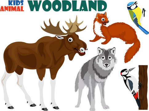 vector set of cute woodland kids animals