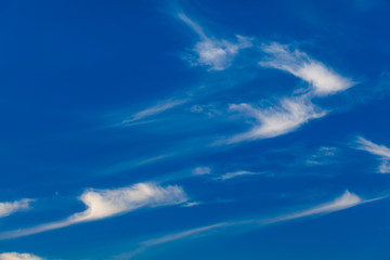 Naklejka na ściany i meble blue sky with cloud. Nice white cloud on the sky.