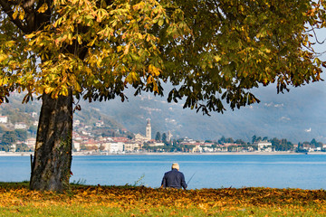 Pescatore sotto un albero in autunno -  lago di Como - Domaso- Italy 