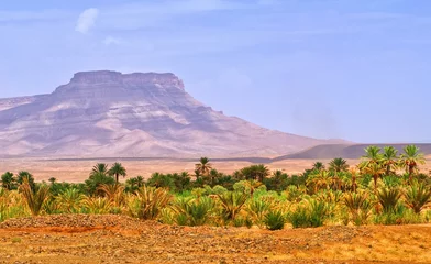 Fototapeten Table mountain and date palms landscape in oasis in Draa Valley, Morocco © Boris Stroujko