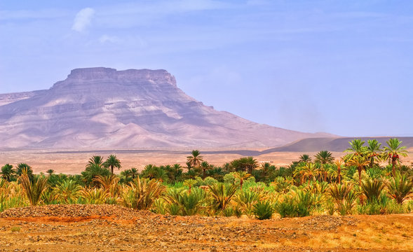 Table mountain and date palms landscape in oasis in Draa Valley, Morocco