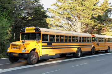 Fototapeta na wymiar Bus Américain jaune