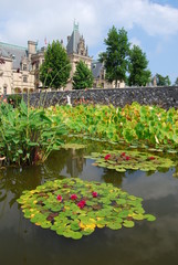 Fototapeta premium Reflections in water lily ponds filled with aquatic plants