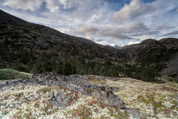 Indian summer landscape in the Yukon in Canada along the famous
