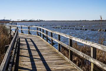 Fototapeta premium Wooden footpath at Back Bay National Wildlife Refuge in Virginia Beach, Virginia. 
