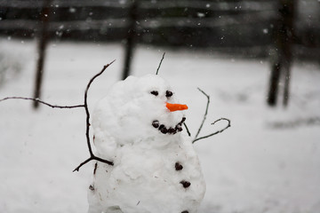 Hand built snowman in snowstorm with carrot nose, rocks for buttons and face and twigs for arms...