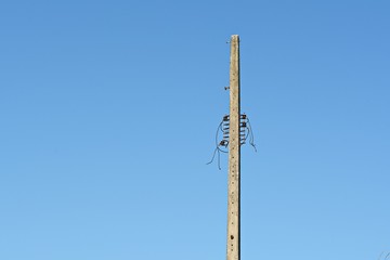 Obraz premium Old Electric pole outdated Blue sky backdrop