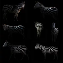 Deurstickers zebra verstopt in het donker © anankkml