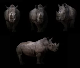Wall murals Rhino rhinoceros hiding in the dark