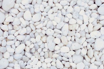 white Pebble beach texture