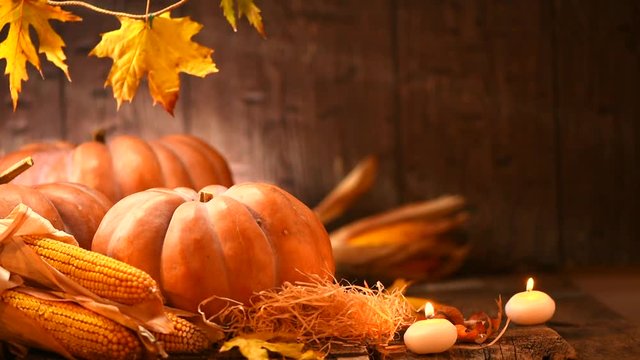 Thanksgiving Day. Pumpkins over wooden background. Autumn festival concept, harvest. Full HD 1080p