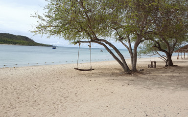Wooden swing under the tree and on the beach