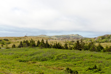 Fototapeta na wymiar Landscape in sunny day in Newfoundland