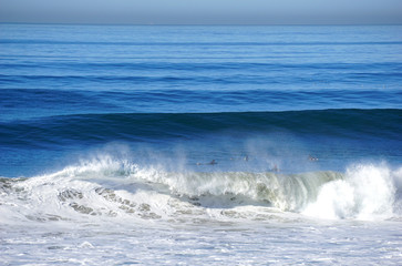 surfers in pacific ocean waiting for waves