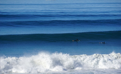 surfers in pacific ocean waiting for waves