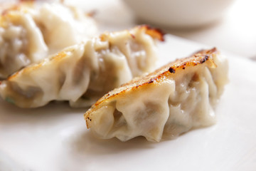 japanese food gyoza dumplings
