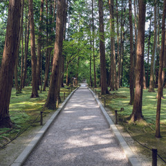 古都奈良　木立の庭