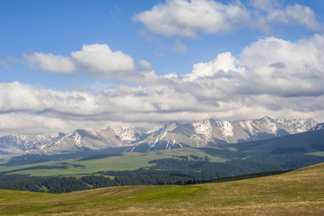 Landscape of grassland