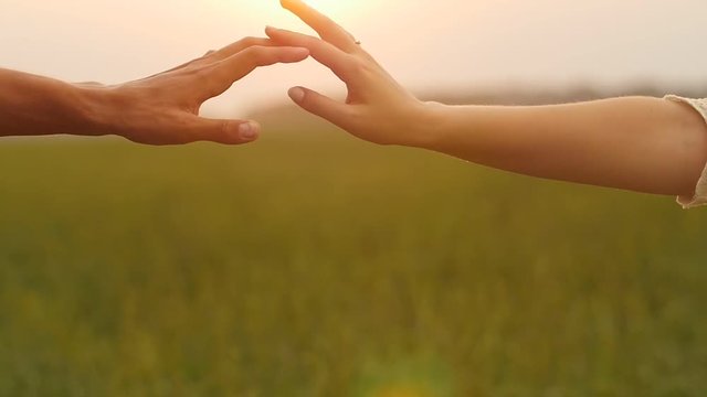 Couple taking hands and walking on the meadow field with wild flowers over beautiful sunset.