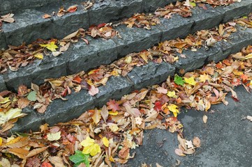 石の階段に溜まる落ち葉