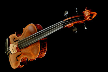 Violin